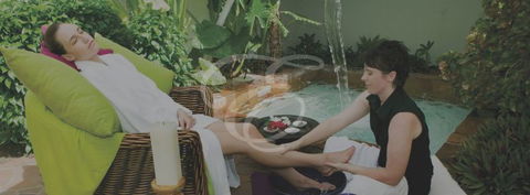 Peppers Spa - Palm Cove - Attractions Brisbane 3