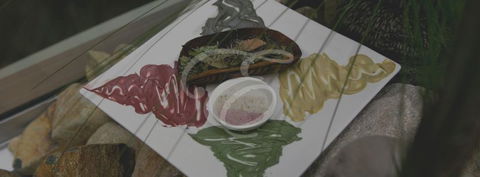 Peppers Spa - Palm Cove - Attractions Brisbane 5