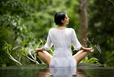 Mona Vale NSW Attractions Brisbane