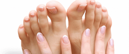 Ella Bache - Attractions Brisbane 1