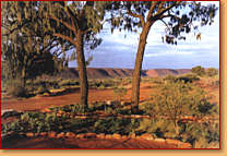 Kings Creek Station - Attractions Brisbane 1