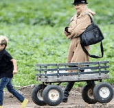 Perth City Farm Organic Markets - Attractions Brisbane