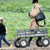 Perth City Farm Organic Markets - Attractions Brisbane 0