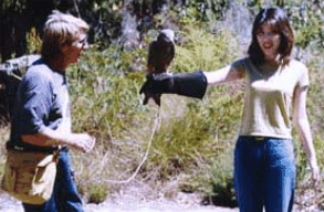 Eagles Heritage Raptor Wildlife Centre - Attractions Brisbane 2