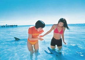 Aubin Grove WA Attractions Brisbane