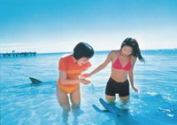 Book Cockburn Central Accommodation Vacations Attractions Brisbane Attractions Brisbane