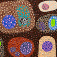 Turner Galleries - Attractions Brisbane 0