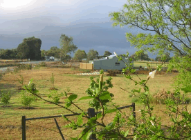 The House Of Honey - Attractions Brisbane 2