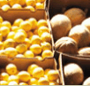 Brisbane Markets - Attractions Brisbane