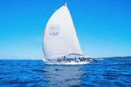 Manly Harbour Village - Attractions Brisbane