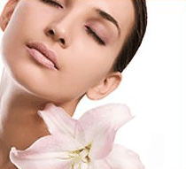 Stephanies Spa Retreat - Attractions Brisbane 0