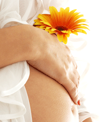 Glow Retreat - Attractions Brisbane 1