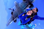 Simply Skydive - Attractions Brisbane 2