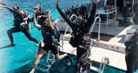 Snorkel Safari Brisbane - Attractions Brisbane