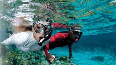 Snorkel Safari Brisbane - Attractions Brisbane 1