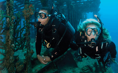 Snorkel Safari Brisbane - Attractions Brisbane 2
