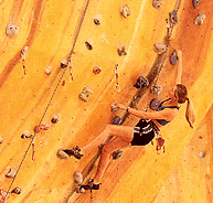 Rocksports Indoor Climbing - Attractions Brisbane