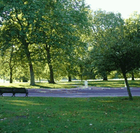 New Farm Park - Attractions Brisbane