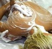 Exotique Massage - Attractions Brisbane