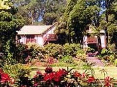  Attractions Brisbane