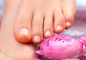 Indulge Spa Retreat - Attractions Brisbane 3