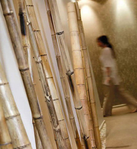 Spa Nirvana - Attractions Brisbane 0