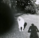 Fehily Contemporary - Attractions Brisbane 2