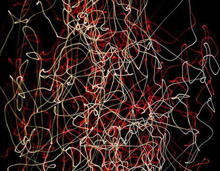 Eleven40 Gallery - Attractions Brisbane 1