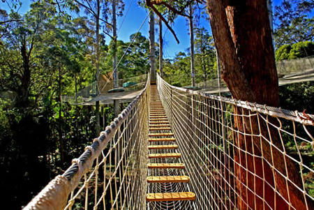  Attractions Brisbane