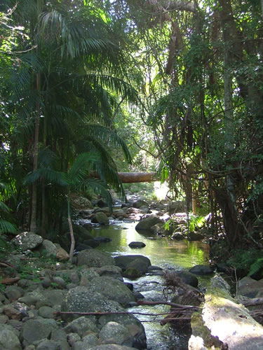 Thunderbird Park - Attractions Brisbane 2