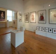 Bird's Gallery - Attractions Brisbane