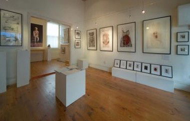 Bird's Gallery - Attractions Brisbane 0