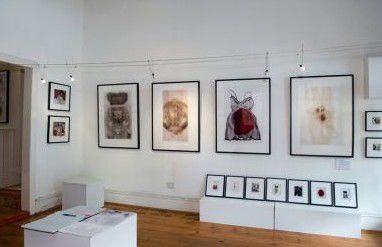 Bird's Gallery - Attractions Brisbane 1