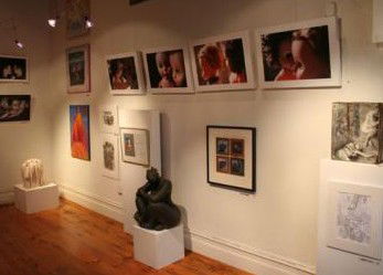 Bird's Gallery - Attractions Brisbane 2