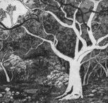 Tacit Contemporary Art - Attractions Brisbane