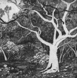 Tacit Contemporary Art - Attractions Brisbane 0