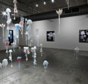 Nellie Castan Gallery - Attractions Brisbane
