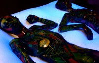 Yarra Sculpture Gallery - Attractions Brisbane 2