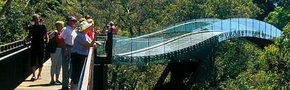 Kings Park Botanic Gardens - Attractions Brisbane 1