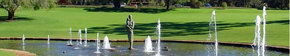 Kings Park Botanic Gardens - Attractions Brisbane 3