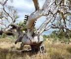 Colour Factory Gallery - Attractions Brisbane 3
