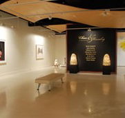 Counihan Gallery In Brunswick - Attractions Brisbane