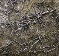 Hawthorn Studio  Gallery - Attractions Brisbane