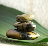 The Nature of Balance - Attractions Brisbane