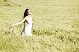 The Nature Of Balance - Attractions Brisbane 1