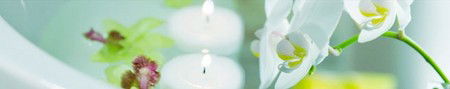 Energy Creations - Attractions Brisbane 1