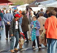 Book Nunawading Accommodation Vacations Attractions Brisbane Attractions Brisbane