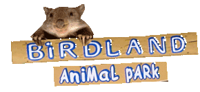 Birdland Animal Park - Attractions Brisbane
