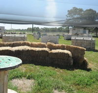 We Are Paintball - Attractions Brisbane