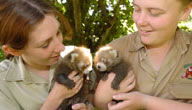 Mogo Zoo - Attractions Brisbane 3